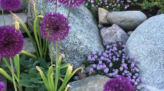 stone-flowers